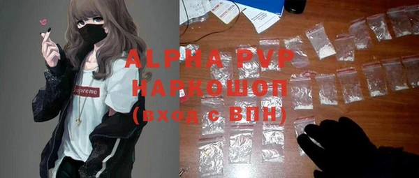 СК Володарск
