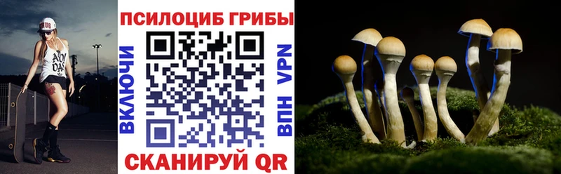 мега зеркало  Северская  Псилоцибиновые грибы Magic Shrooms 